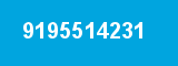 9195514231