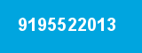 9195522013