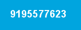 9195577623