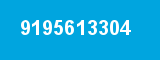9195613304