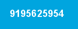 9195625954