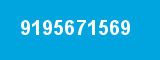9195671569