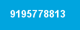 9195778813