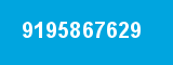 9195867629