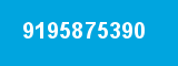 9195875390