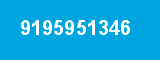 9195951346