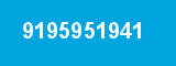 9195951941