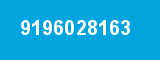 9196028163