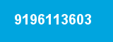 9196113603