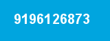 9196126873