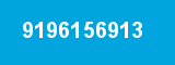 9196156913