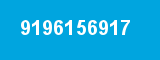 9196156917