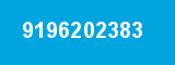 9196202383