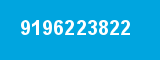 9196223822