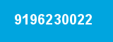 9196230022