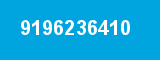 9196236410