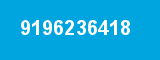 9196236418