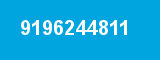9196244811