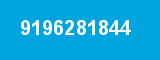 9196281844