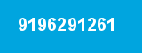 9196291261