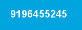 9196455245 9196455245