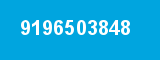 9196503848