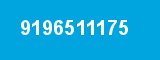 9196511175