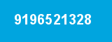 9196521328