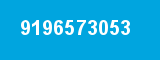 9196573053