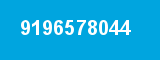 9196578044
