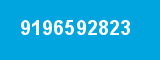9196592823