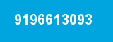 9196613093