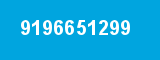 9196651299