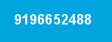 9196652488