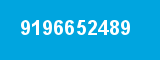 9196652489