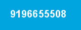 9196655508