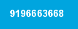 9196663668
