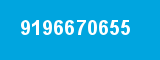 9196670655