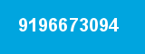 9196673094