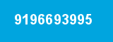 9196693995