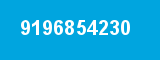 9196854230
