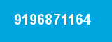 9196871164