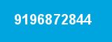 9196872844