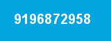 9196872958