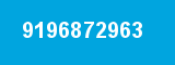 9196872963