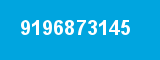 9196873145 9196873145