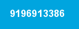 9196913386