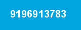 9196913783