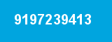 9197239413