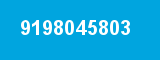 9198045803